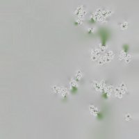 Asset preview